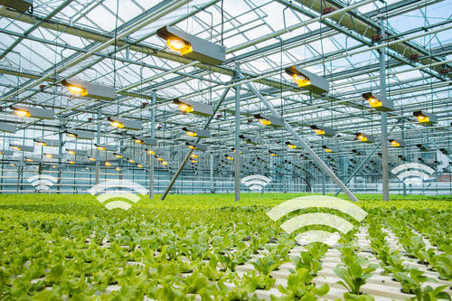 互联网＋农业的6大创新模式