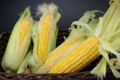 2020玉米价格行情：八月玉米价格还会涨吗？