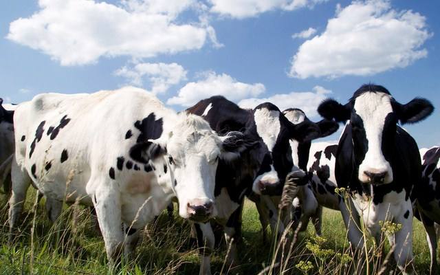 促进畜牧业高质量发展全面提升畜产品供应安全保障能力——农业农村