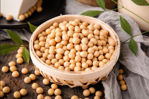 中国为什么要大量进口大豆？经常吃大豆的好处？