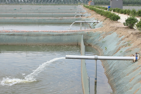 农业农村部印发《意见》提出到2025年水产养殖机械化水平总体达到50%以