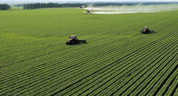 关于印发黑龙江省防止耕地“非粮化”稳定粮食生产工作方案的通知