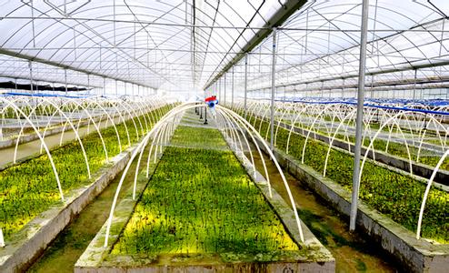上海市农产品绿色生产基地创建工作实施方案（2021-2025年）