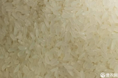 十大公认最好吃的大米